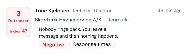 A new response from a Detractor with comment, sentiment and theme